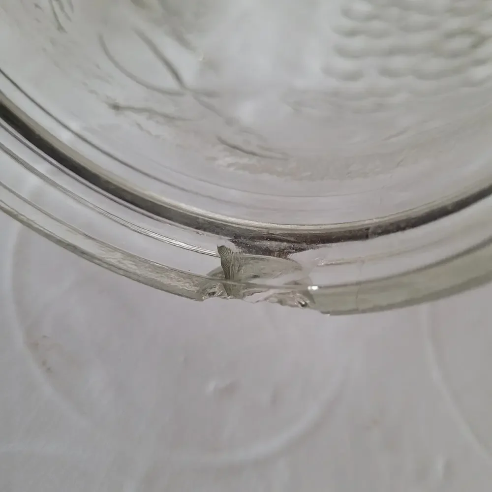 Vintage Fruit Texture Glass Jar - 9x4 inches